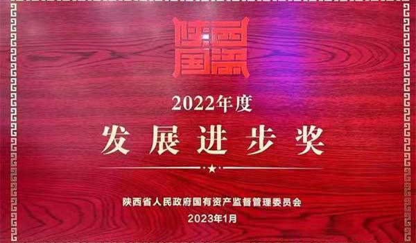 陜外集團榮獲陜西省國資系統2022年度“發展進步獎”